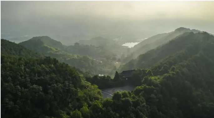 1694421824983663.png image.png